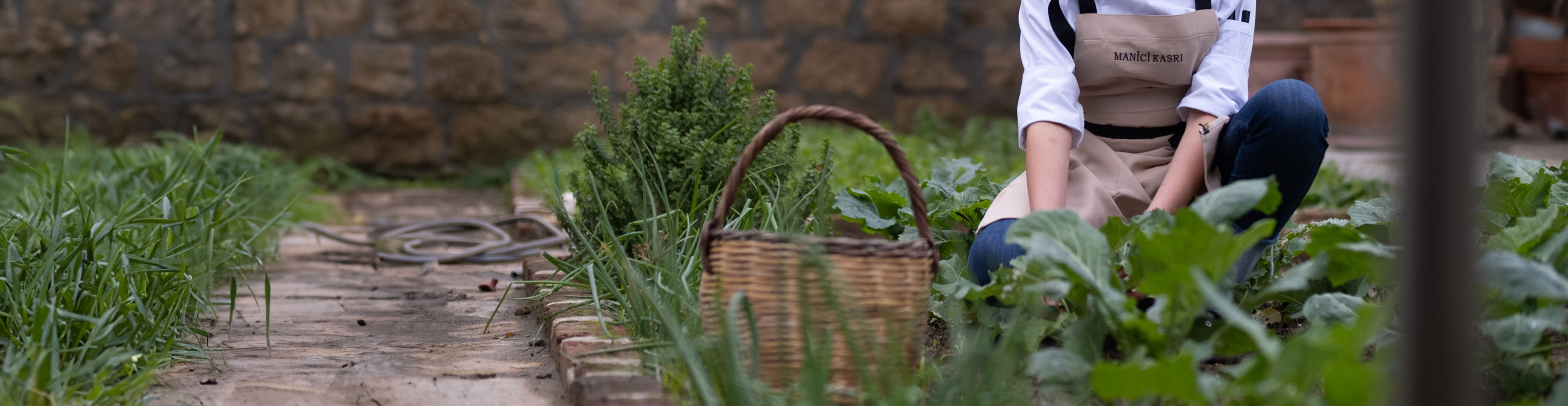 The Chef's Garden