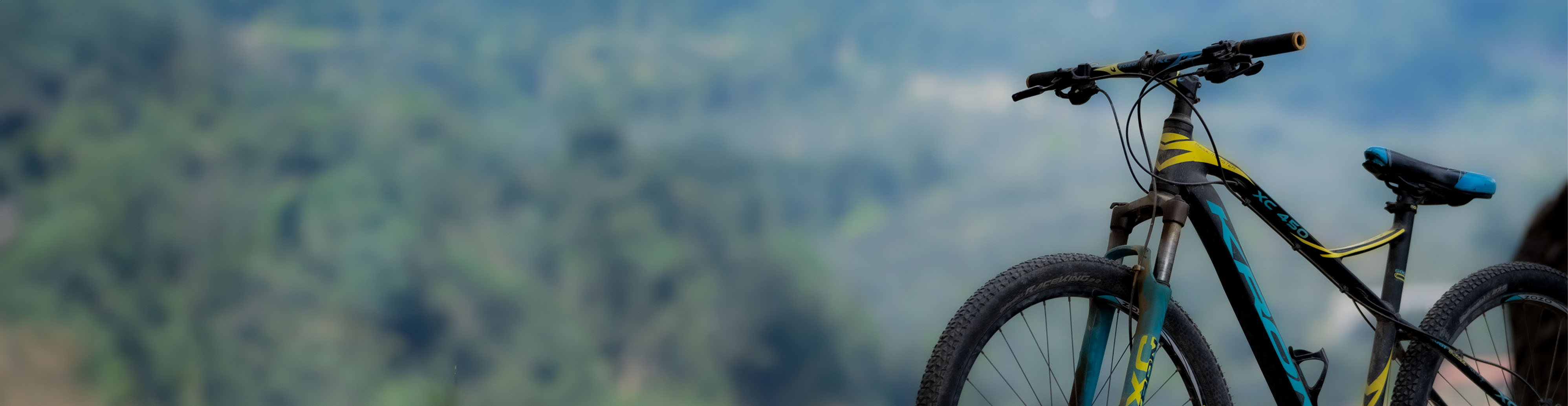 Mountain Biking